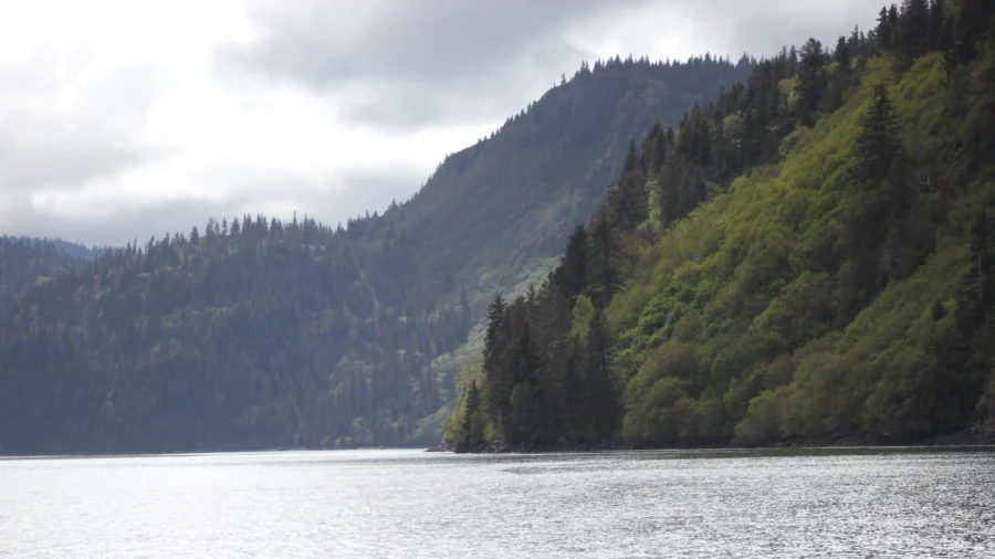 Partial Remains of Missing Texas Family Found on Sunken Boat in Alaskan Waters