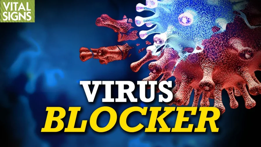 How Quercetin Works Like Hydroxychloroquine to Stop Viruses