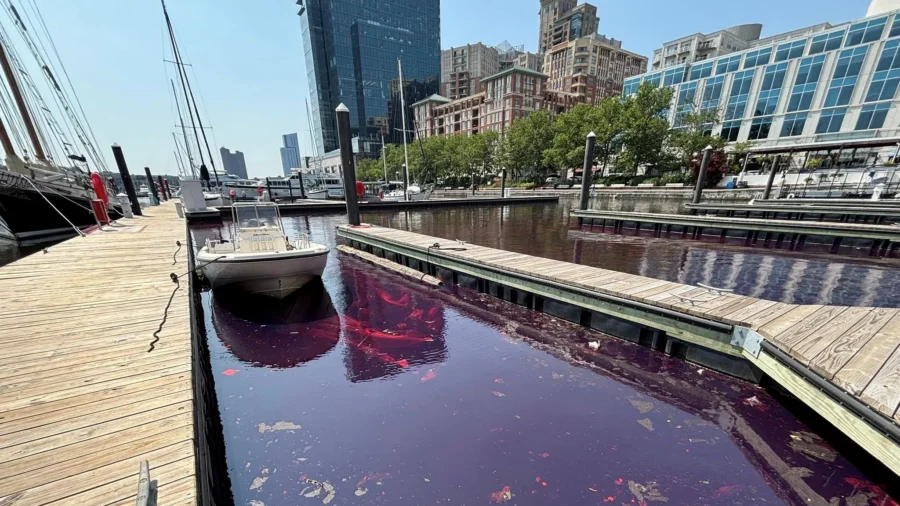 About 2,000 Gallons of Diesel Spills in Baltimore Waterfront, US Officials Say