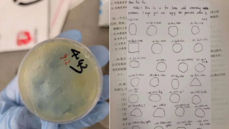 Wuhan Researcher Charged With Smuggling Biological Materials Into US Lab
