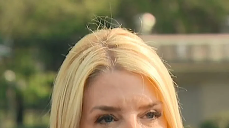'What We're Doing Is Working': Bondi on LA Riots