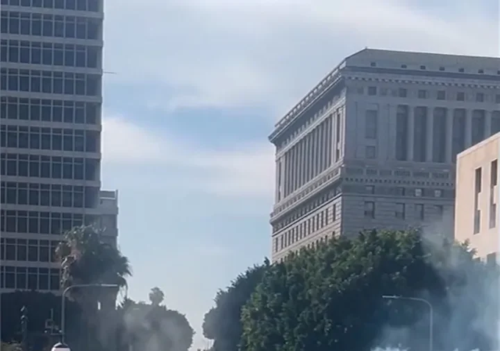 Police Deploy Tear Gas at ‘No Kings’ Protest in LA