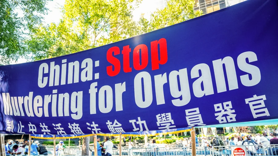 Global Medical Experts Urge Action Against China’s Forced Organ Harvesting