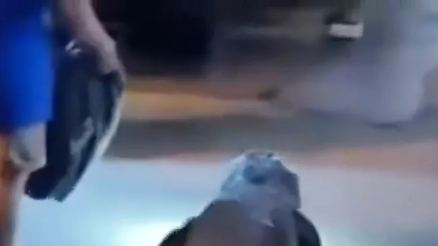6-Foot Gator Found Outside Virginia Motel