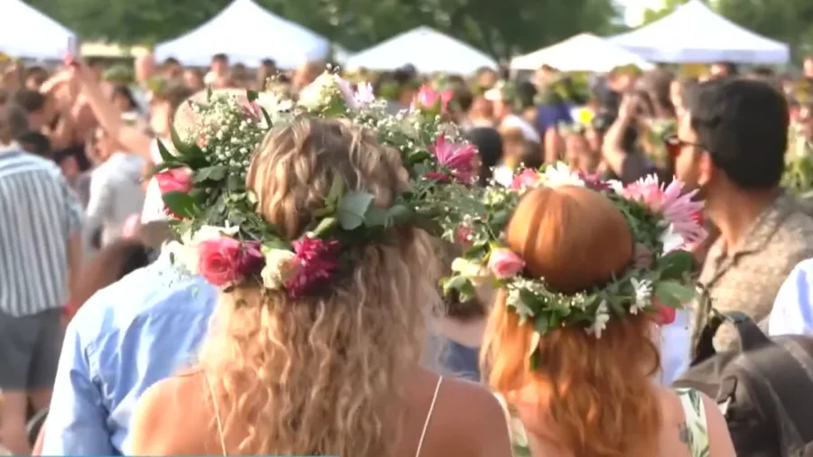 New Yorkers Celebrate Swedish Midsummer