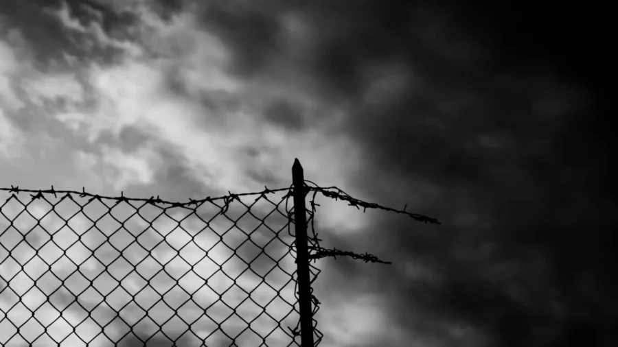 Hearing on Transnational Repression: Trends and Policy Approaches