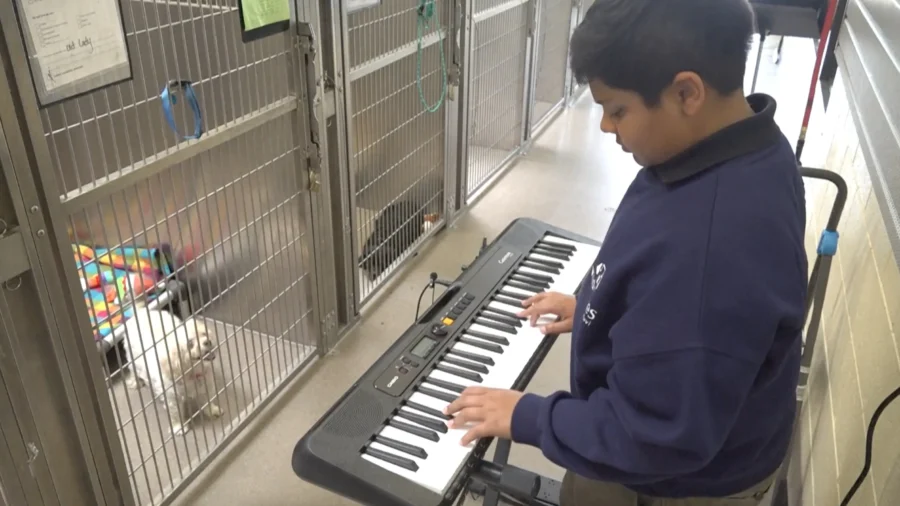 Houston Teen Gifts Shelter Animals the Soothing Power of Music