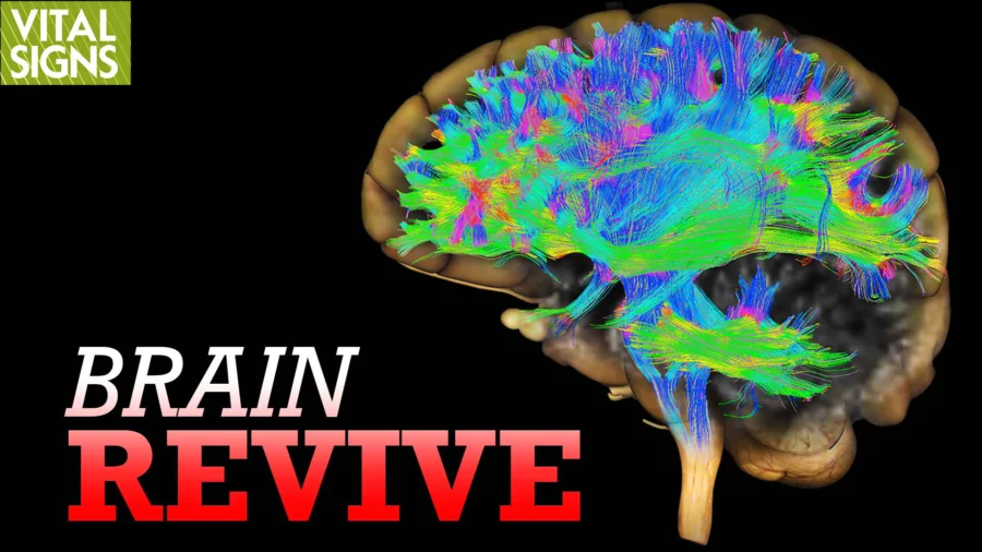 How Alzheimer’s Could Be Treated With Functional MRI and Ultrasound | Feat. Dr. Sheldon Jordan