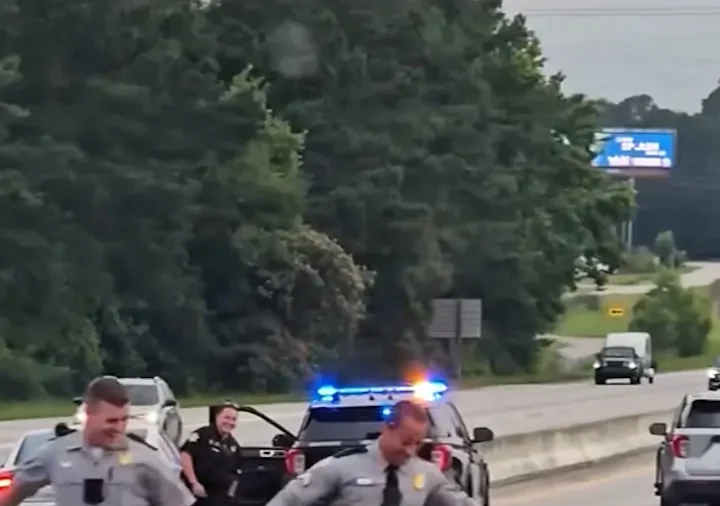 Troopers Chase Runaway Pig on South Carolina Interstate