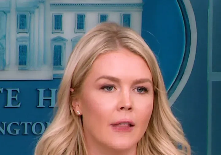 White House Defends Epstein Probe as Transparent and Exhaustive