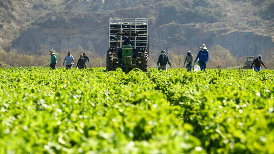 Trump Administration Announces National Farm Security Action Plan