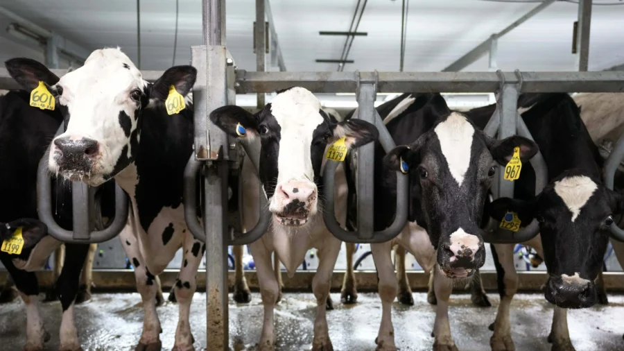House Agriculture Committee Holds Hearing on Animal Health Laboratory Network