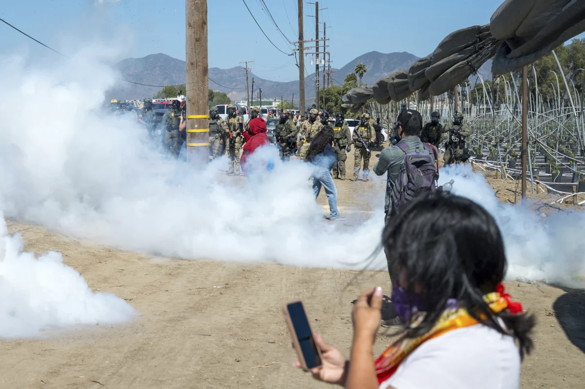 Federal immigration agents toss tear gas at protesters during an operation at a marijuana farm in Camarillo, Calif., on July 10, 2025. (Michael Owen Baker/AP Photo)