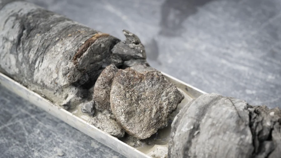 Denver Museum Discovers Dino Fossil Under Own Parking Lot