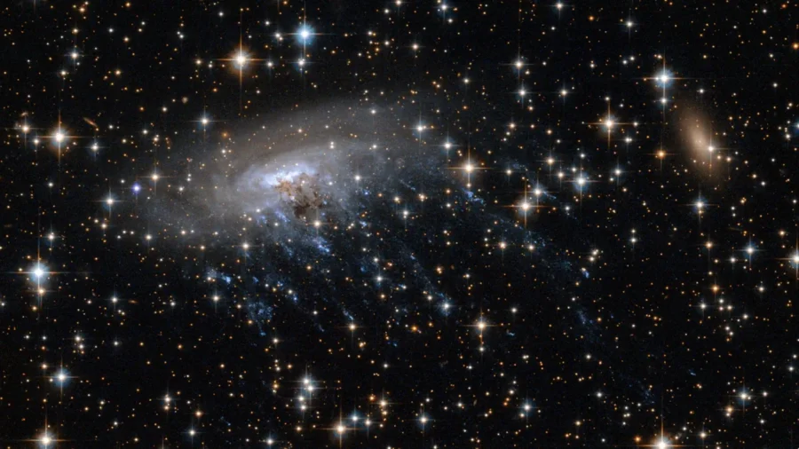 James Webb Telescope Spots Cosmic Owl, Jellyfish Galaxy