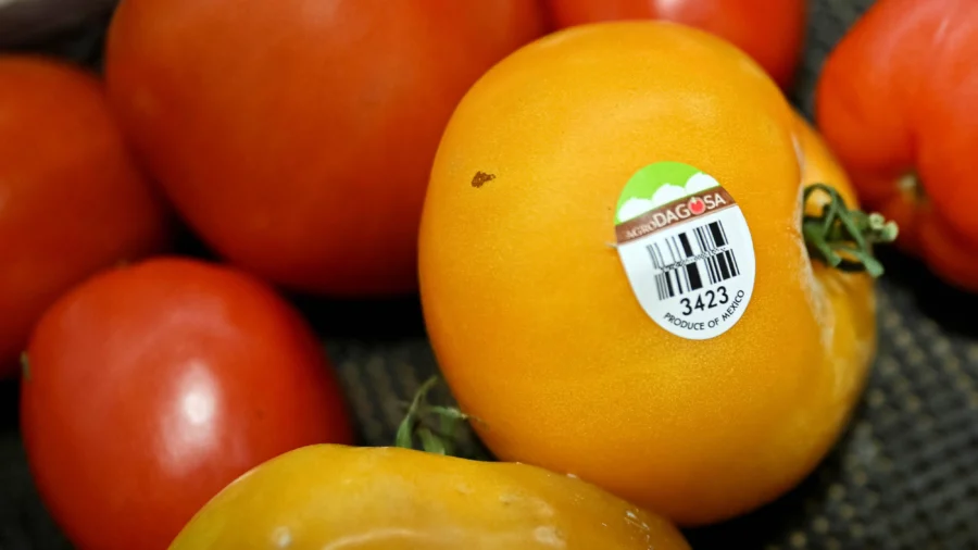 US Withdraws From Tomato Agreement With Mexico, Imposes 17 Percent Tariff
