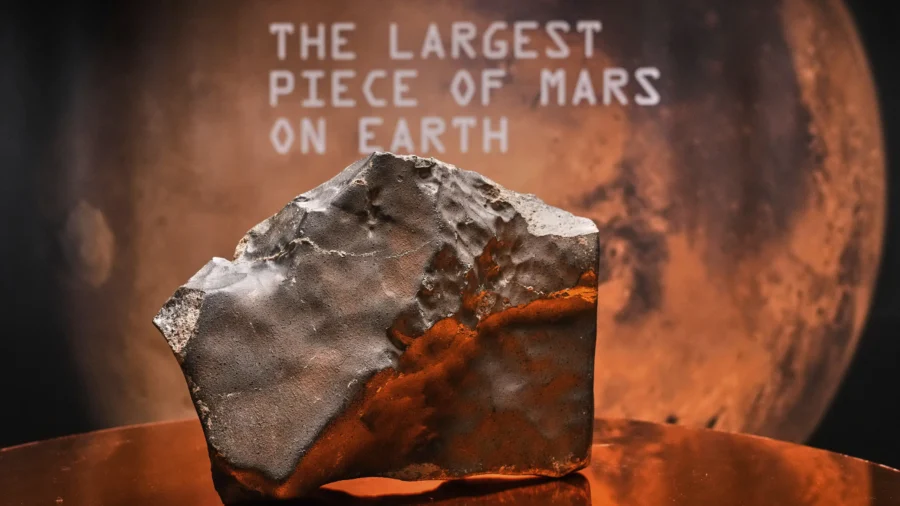 Largest Piece of Mars on Earth Fetches $5.3 Million at Auction, but Young Dinosaur Steals the Show