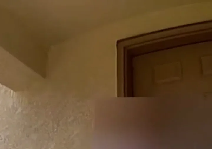 Officer Delivers Doordash Order After Arresting Driver Ntd