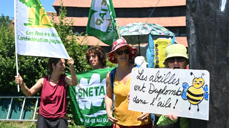 France Divided Over Reintroduction of Bee-Harming Pesticide