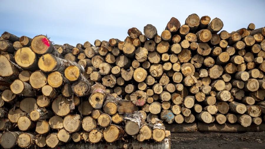 US Raises Anti-Dumping Duties on Canadian Softwood to 20.56 Percent