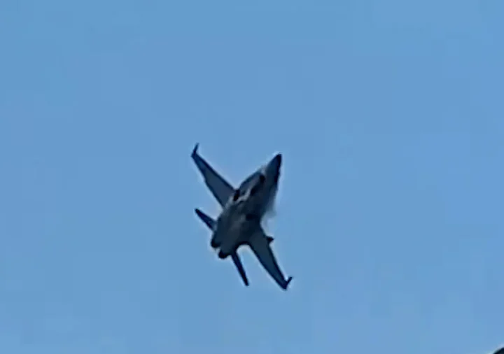 Spanish F-18 Performs Evasive Maneuver Due to Flock of Birds at Airshow