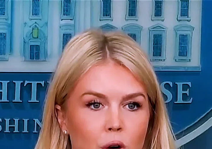 White House Press Secretary: Mexico Is Still Paying Tariffs
