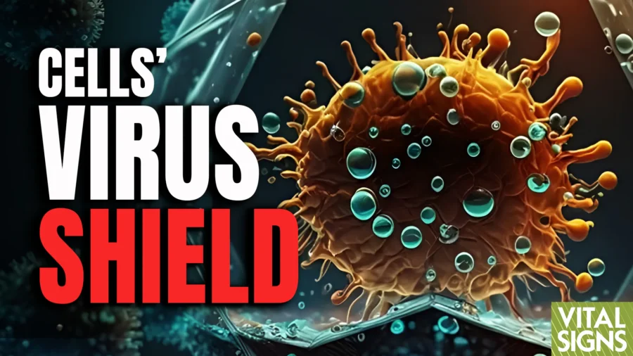 Activate Your Cellular ‘Virus Shield’ Through Hydrotherapy–Heat Treatment: Dr. Roger Seheult Discusses Interferons