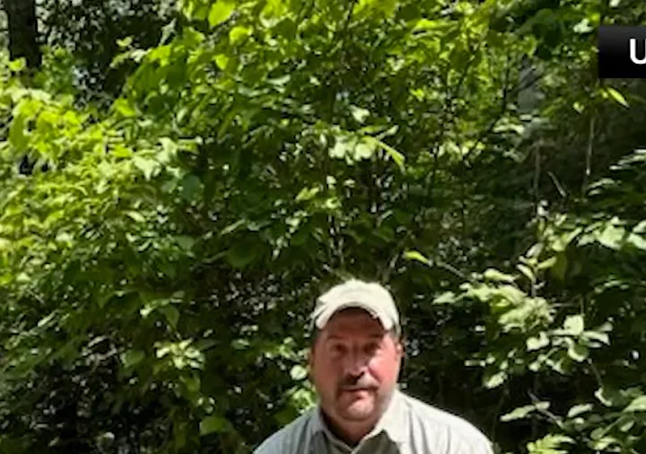 Wisconsin Bear Freed After Plastic Jar Removed From Head
