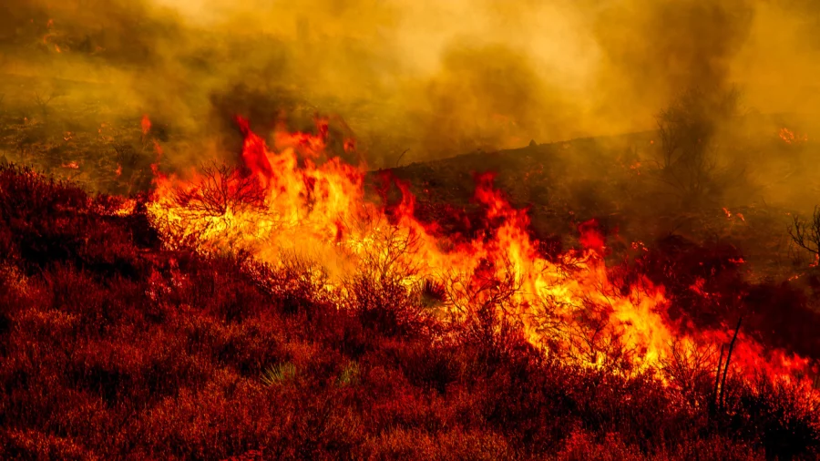 Wildfires Scorch the West as Deadly Flooding Hits Eastern, Northern US