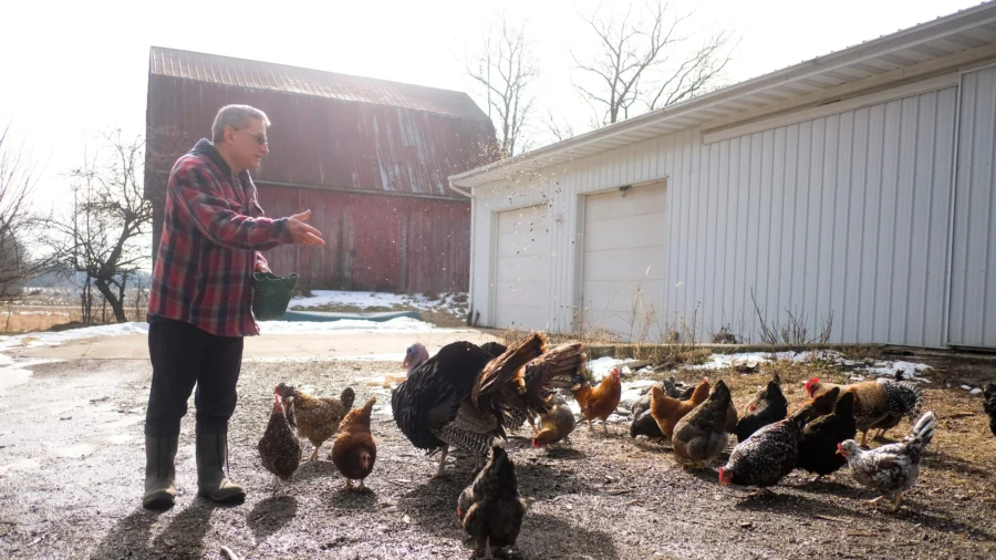 Tariffs Are Key to Putting US Family Farms First: Analyst