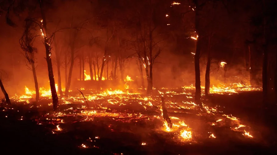 Wildfires Scorch Europe Amid Heatwaves