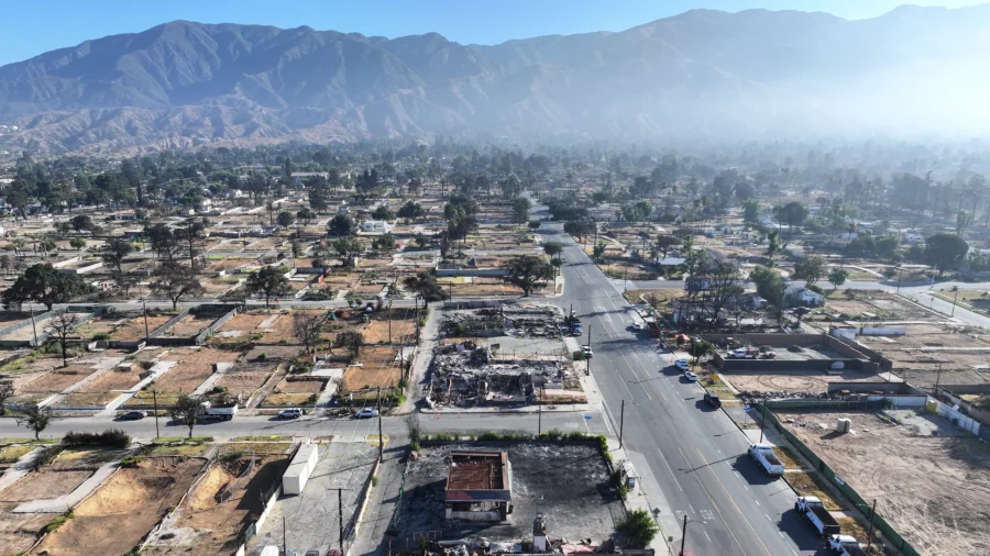 LA Wildfires Linked to Nearly 440 Deaths, Study Finds