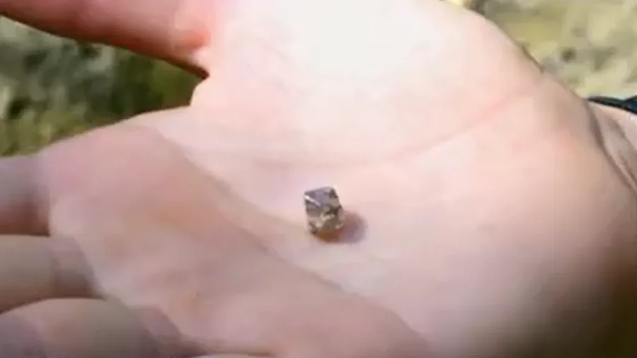 Woman Finds Diamond in State Park, Will Use It for Engagement Ring