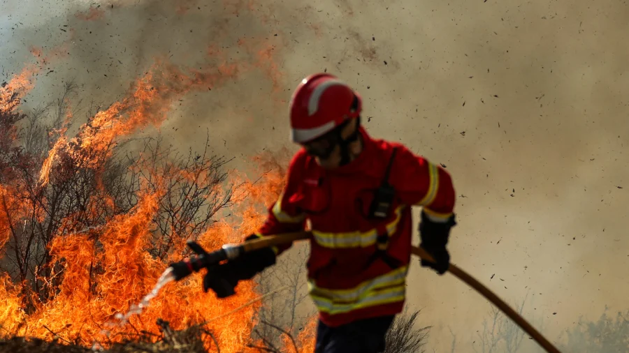 Firefighters Battle Blaze in Northern Portugal