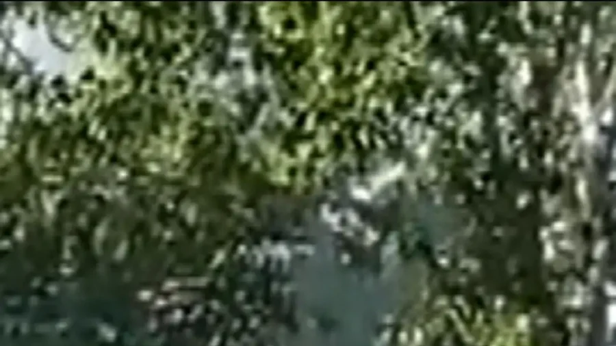 Body Camera Video: Police Stop Shooting Suspect Outside Reno Casino