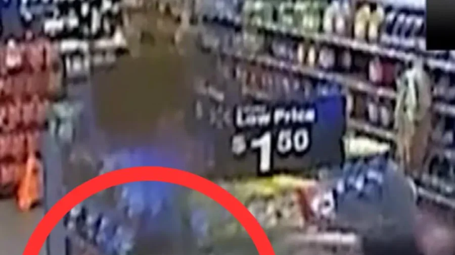 Michigan Walmart Stabbing Incident Video Released