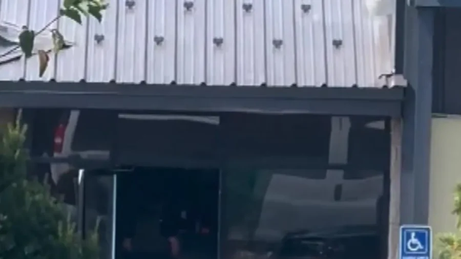 Confectionery Plant Workers Detained in New York ICE Operation