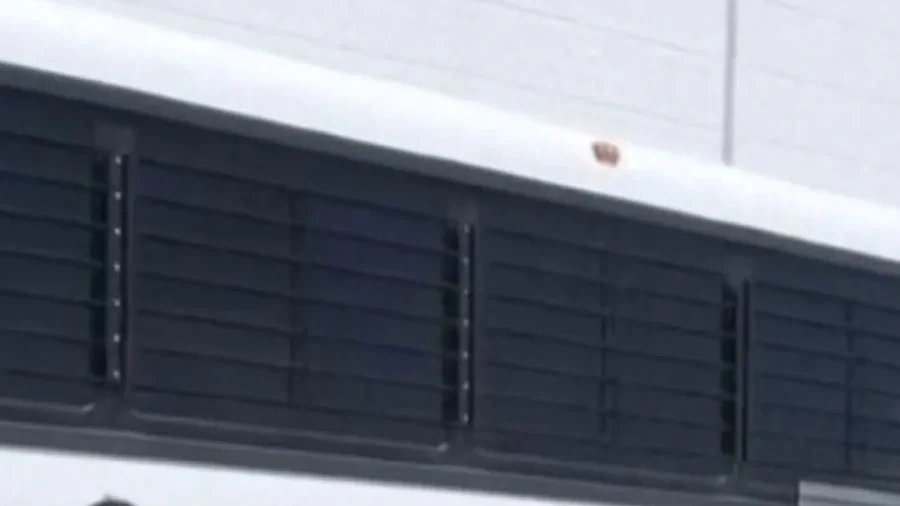 ICE Releases Video of Immigration Raid at Georgia Manufacturing Plant