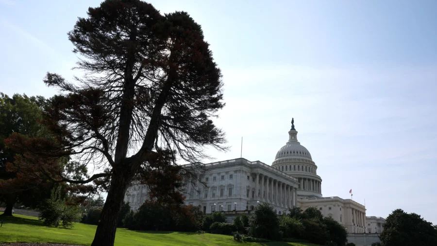 Experts Warn Families and Small Businesses in the Crossfire of Shutdown Fight