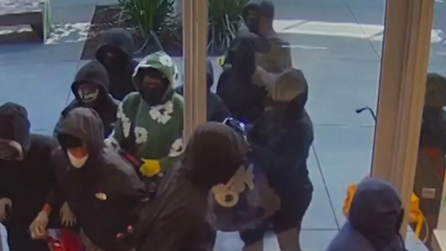 Over 20 Robbers Blitz California Store, Steal $1 Million in Jewelry