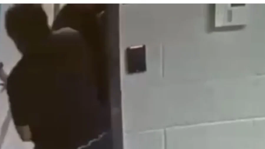 ICE Agents Shield Illegal Immigrants During Dallas Facility Shooting