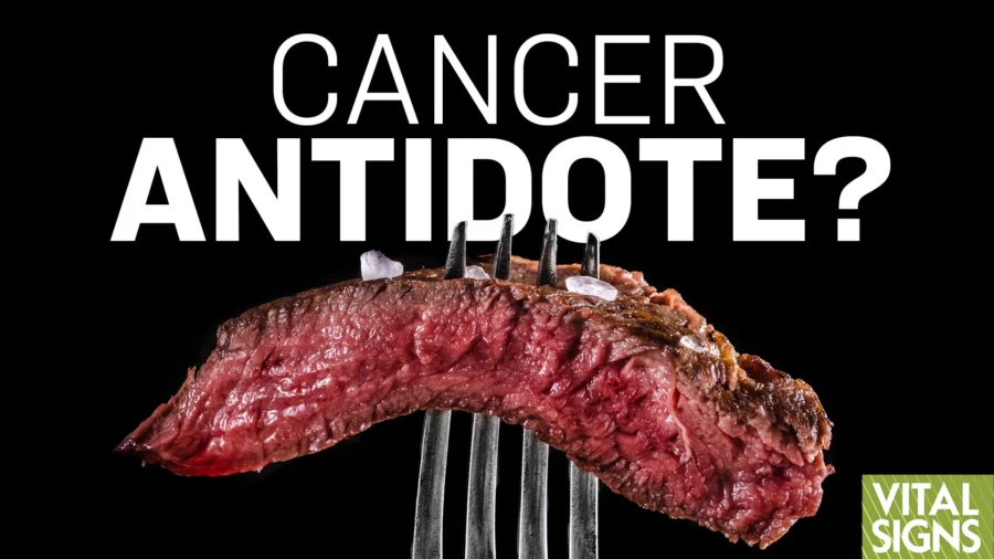 How to Starve Cancer Cells– Carnivore Doctor
