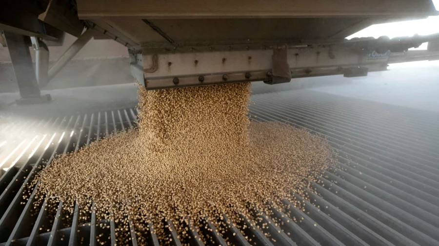 China’s Soybean Boycott Meant to Undercut Trump’s Support Base: Analyst