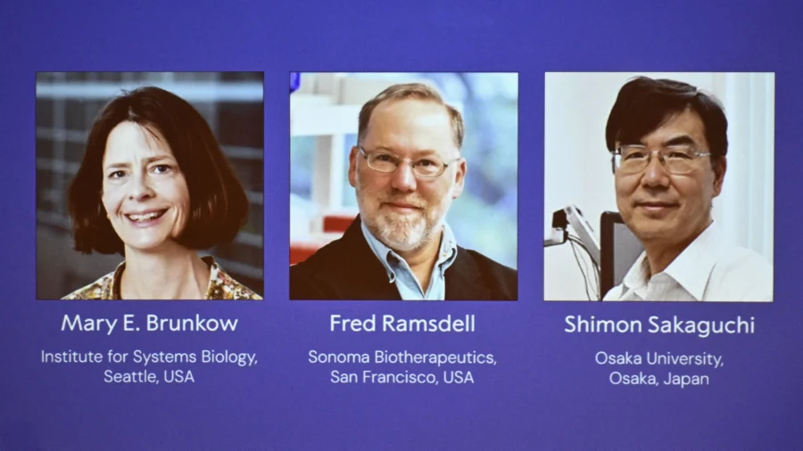Nobel Medicine Prize Goes to Researchers Into Immune System Precision