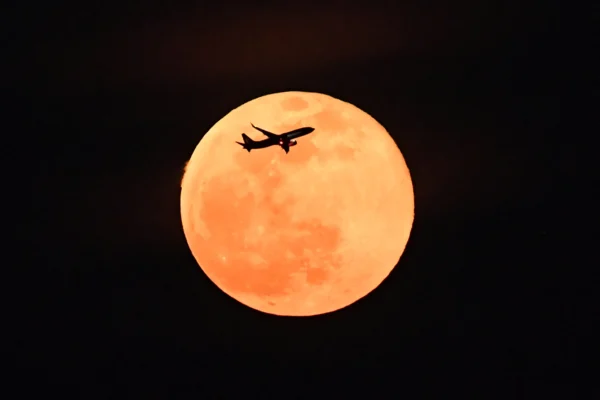 Harvest Supermoon Lights Up Cities Around the World | NTD