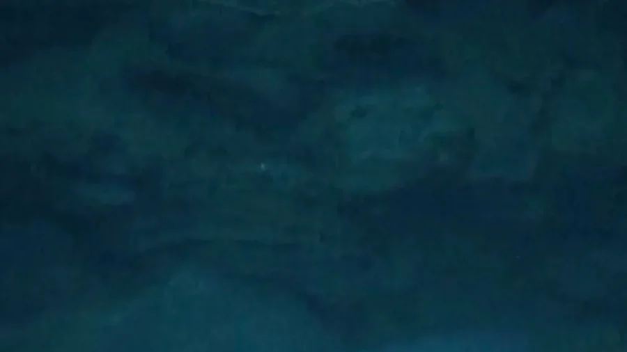 DEEP Unveils 'Vanguard': A Stepping Stone to Undersea Human Habitation