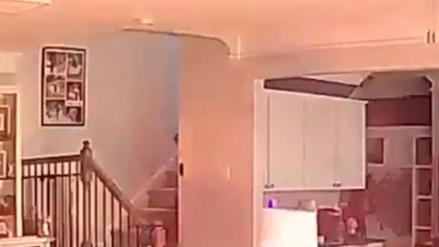 Dog Chews on Battery, Sets House on Fire
