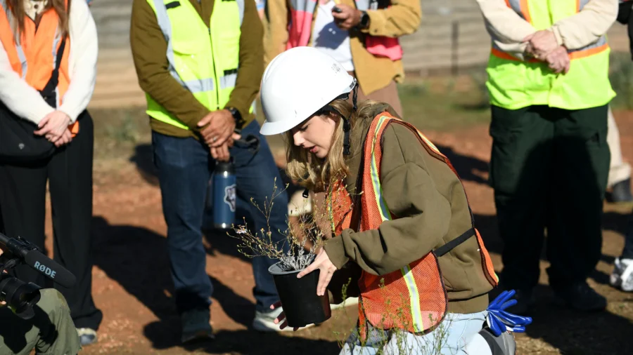 Native Planting Brings California Wildlife Crossing Closer to Completion