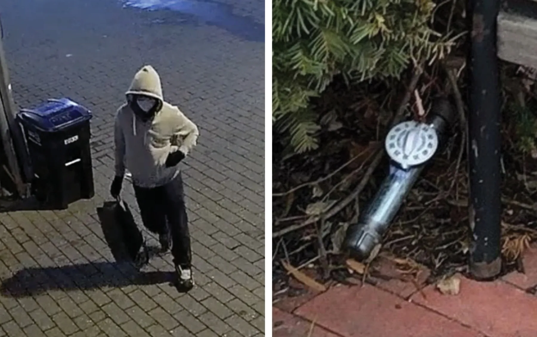 Jan. 6 Pipe Bomb Suspect Indicted on Federal Explosives Charges