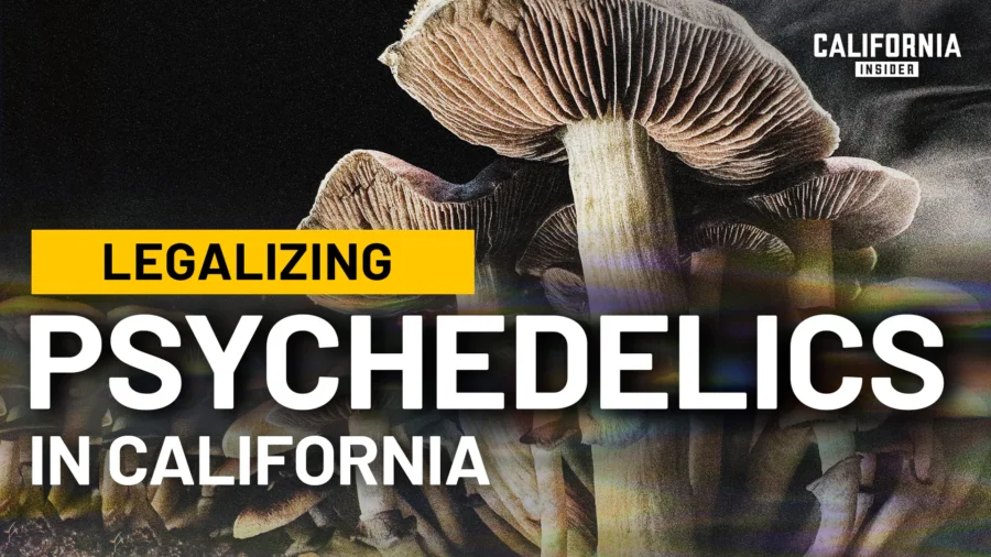 Should California Legalize Psychedelics? Experts Warn of Risks